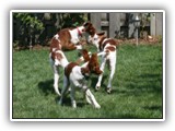 8-1-2010 play (17)