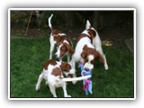 8-1-2010 play (19)