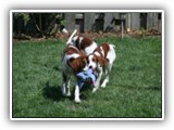 8-1-2010 play (2)