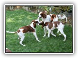 8-1-2010 play (9)