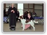 Irish Red and White Setter: CH RedBranch Radiant Sunset at NyaStar