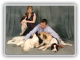 Family Photo: NyaStar Irish Red and White Setters