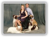 Family Photo: NyaStar Irish Red and White Setters