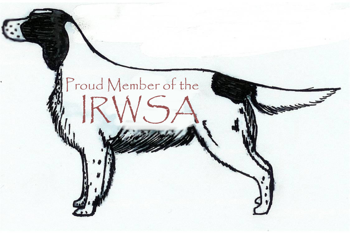 Irish Red & White Setter Association Link