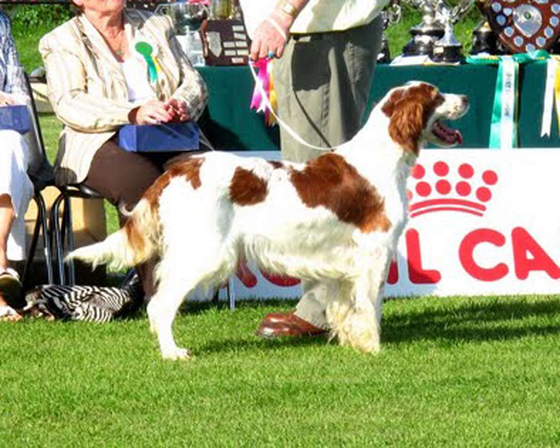 Orla