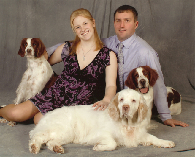 NyaStar Irish Red & White Setter